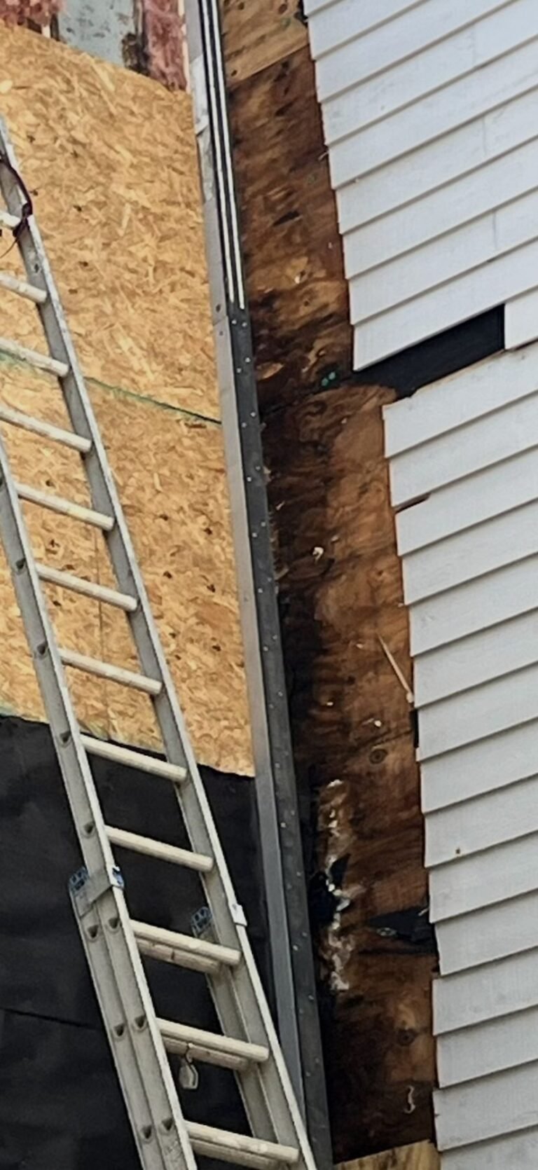Rotted framing cut out and re-sheathed during an exterior repair by Cas and Cal Construction