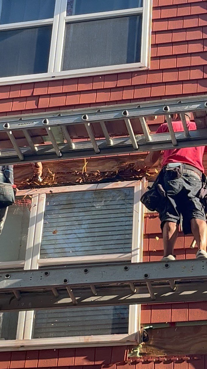 Crew installing cedar shake siding from ladder-jack scaffolding, Cas and Cal Construction